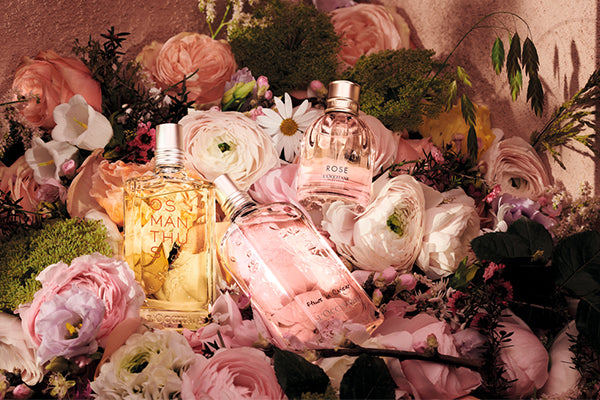 Womens Fragrances