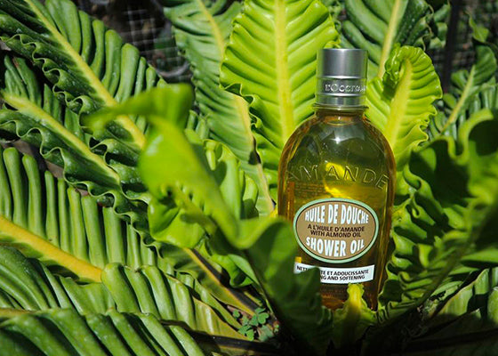 Almond Body Oil