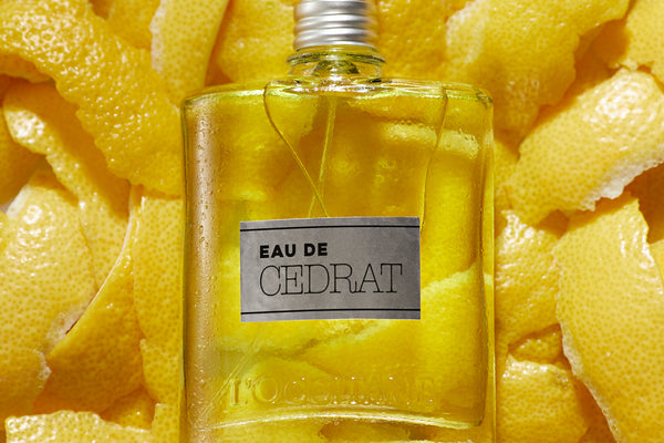 Cedrat Fragrance for Men